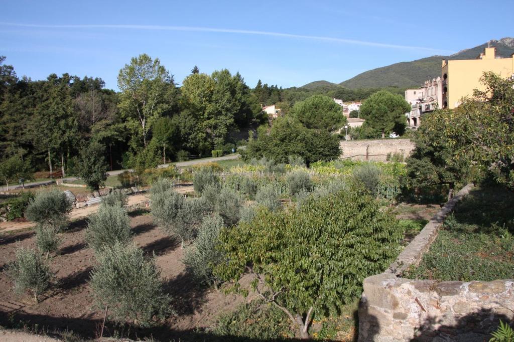 Apartamentos Cal Ratero Maçanet de Cabrenys Εξωτερικό φωτογραφία
